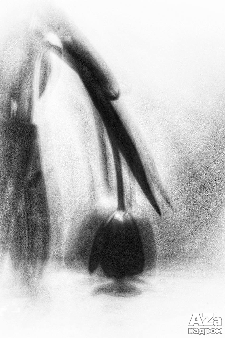 AZакадром Импрессинизм. Женский семейный фотограф Тула Москва Захарова Анна