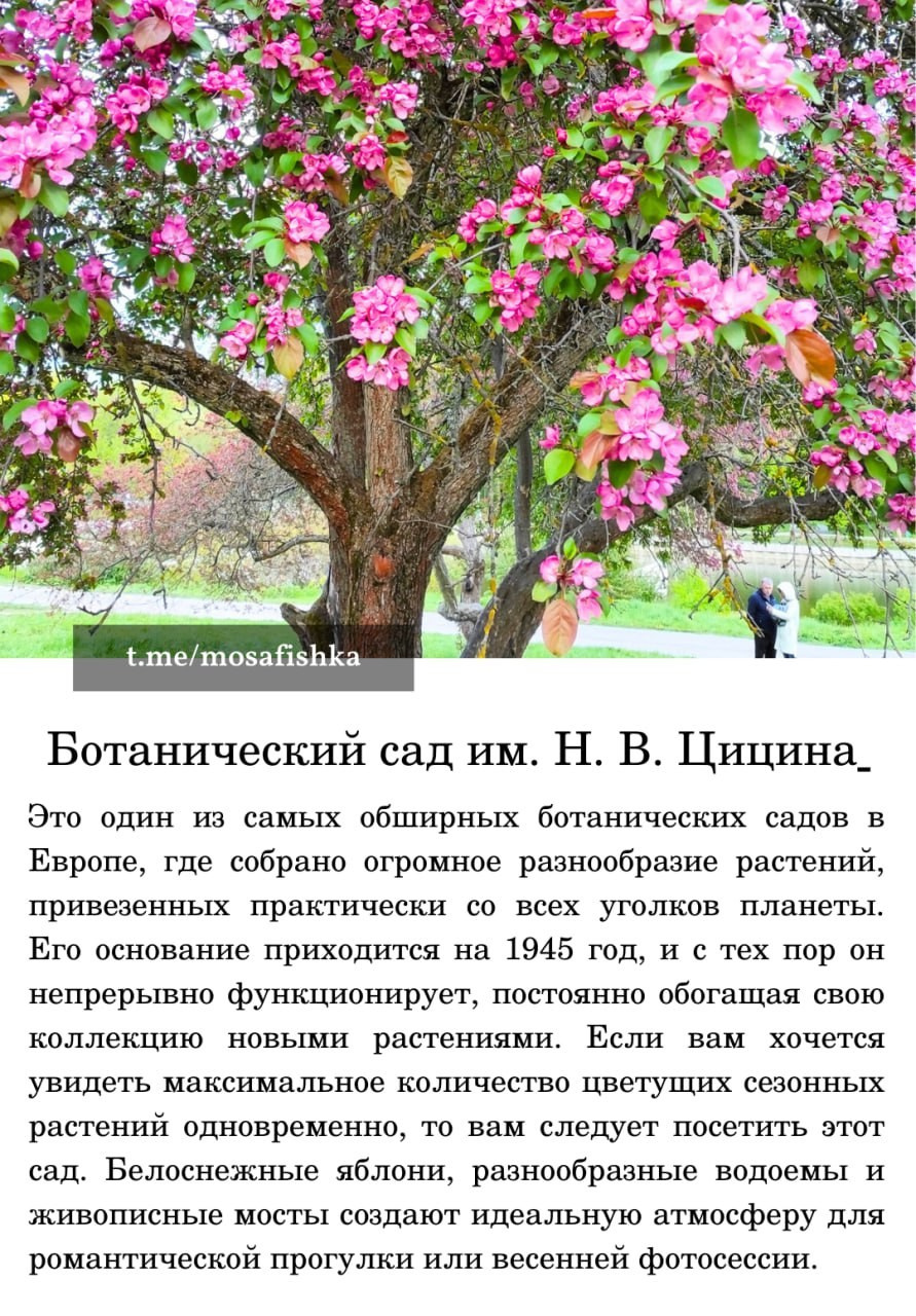 Локации для фотосессии в Москве