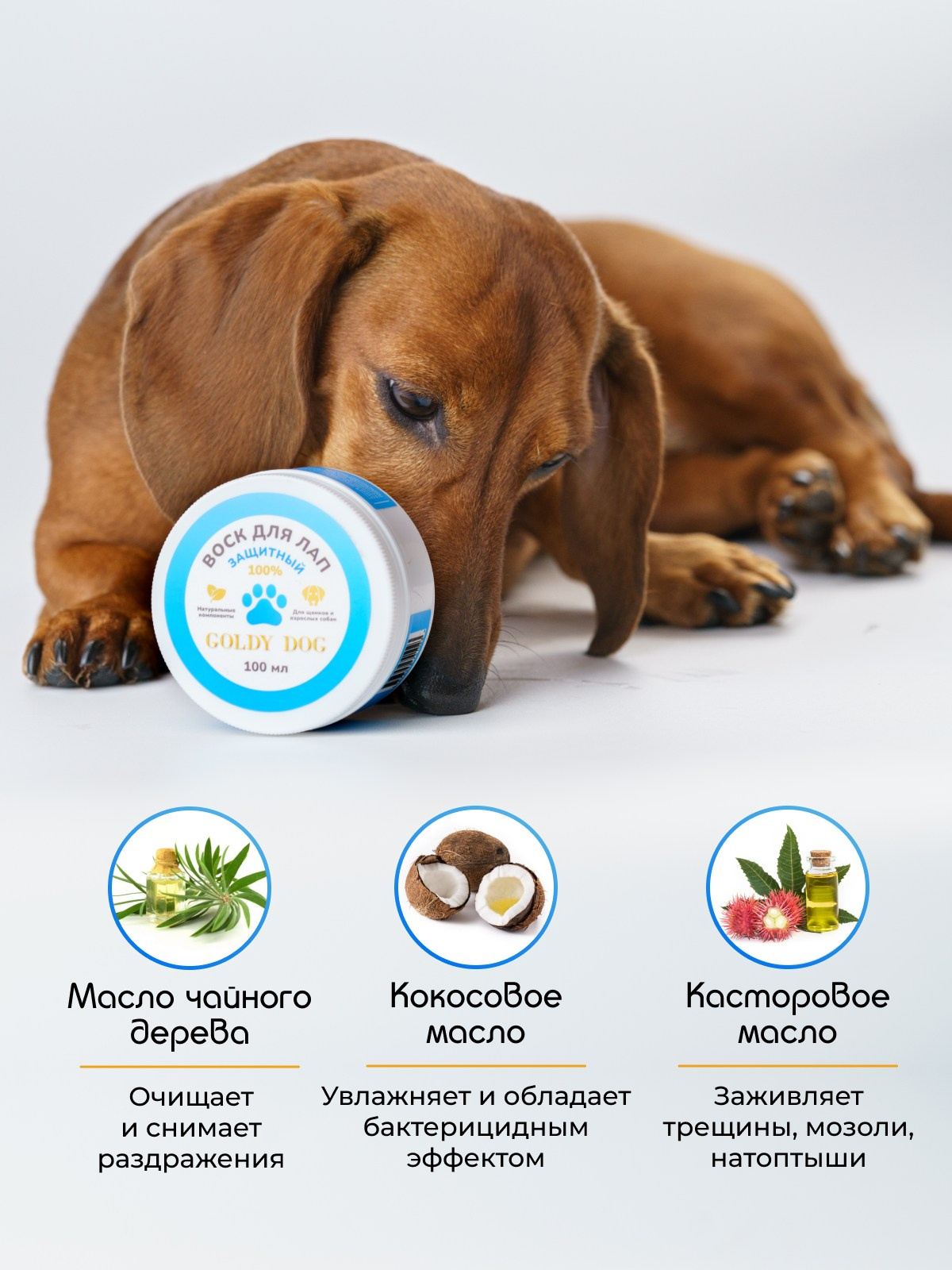 Такса Марго. KED Production — продакшн из СПб. Создаём фото, видео и контент, который помогает брендам и селлерам продавать больше