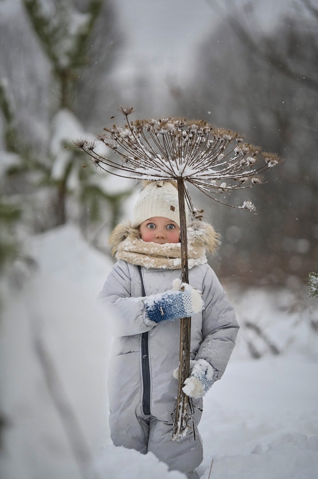 В снегу). Фотограф Ваших событий 📸