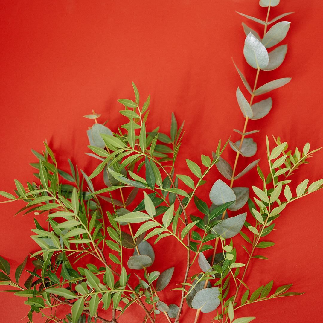 Цветочный магазин. Фотография