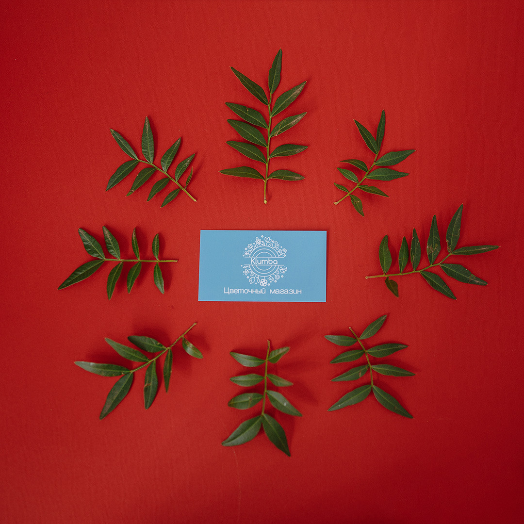 Цветочный магазин. Фотография