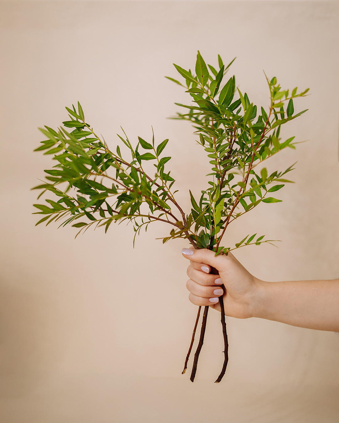 Цветочный магазин. Фотография