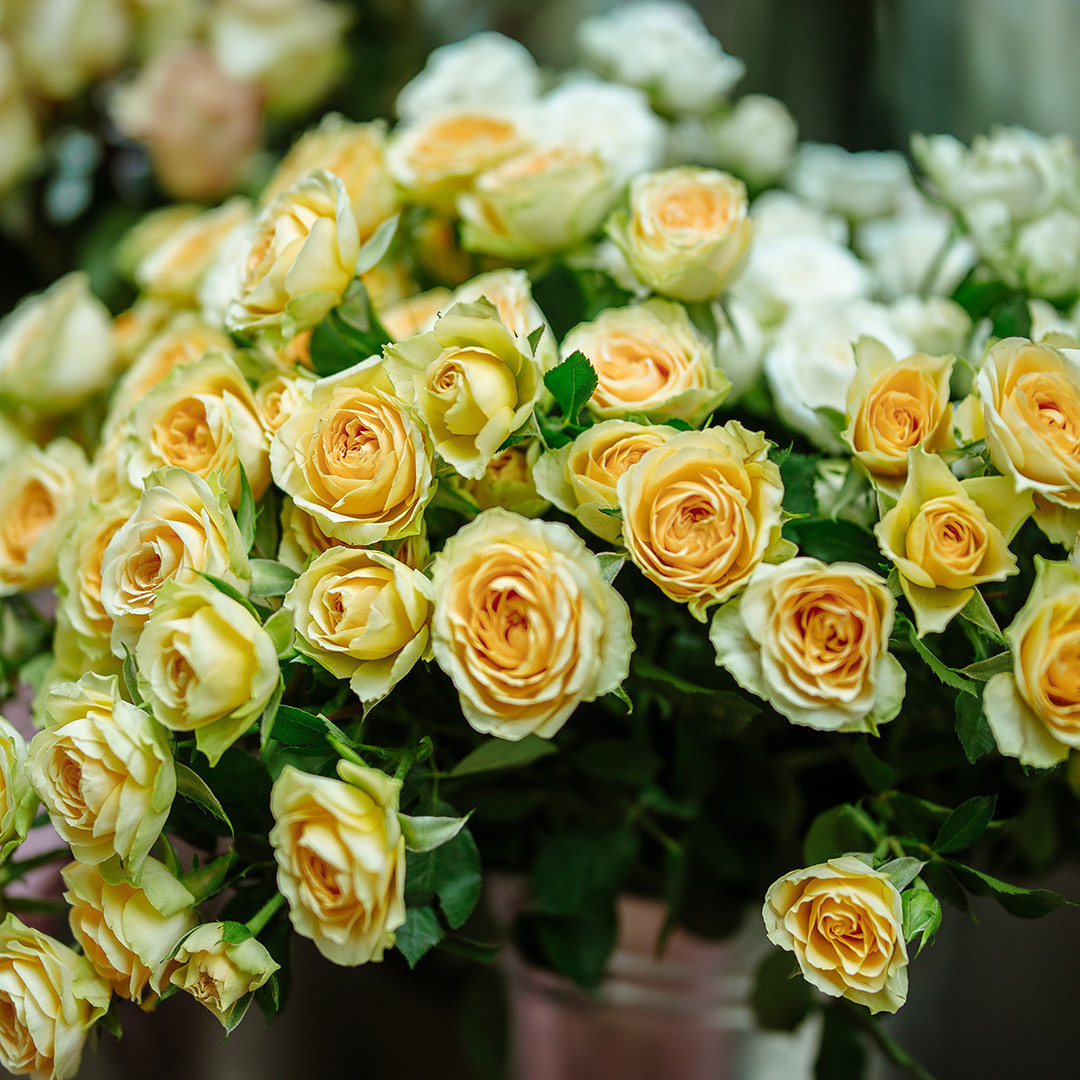 Цветочный магазин. Фотография