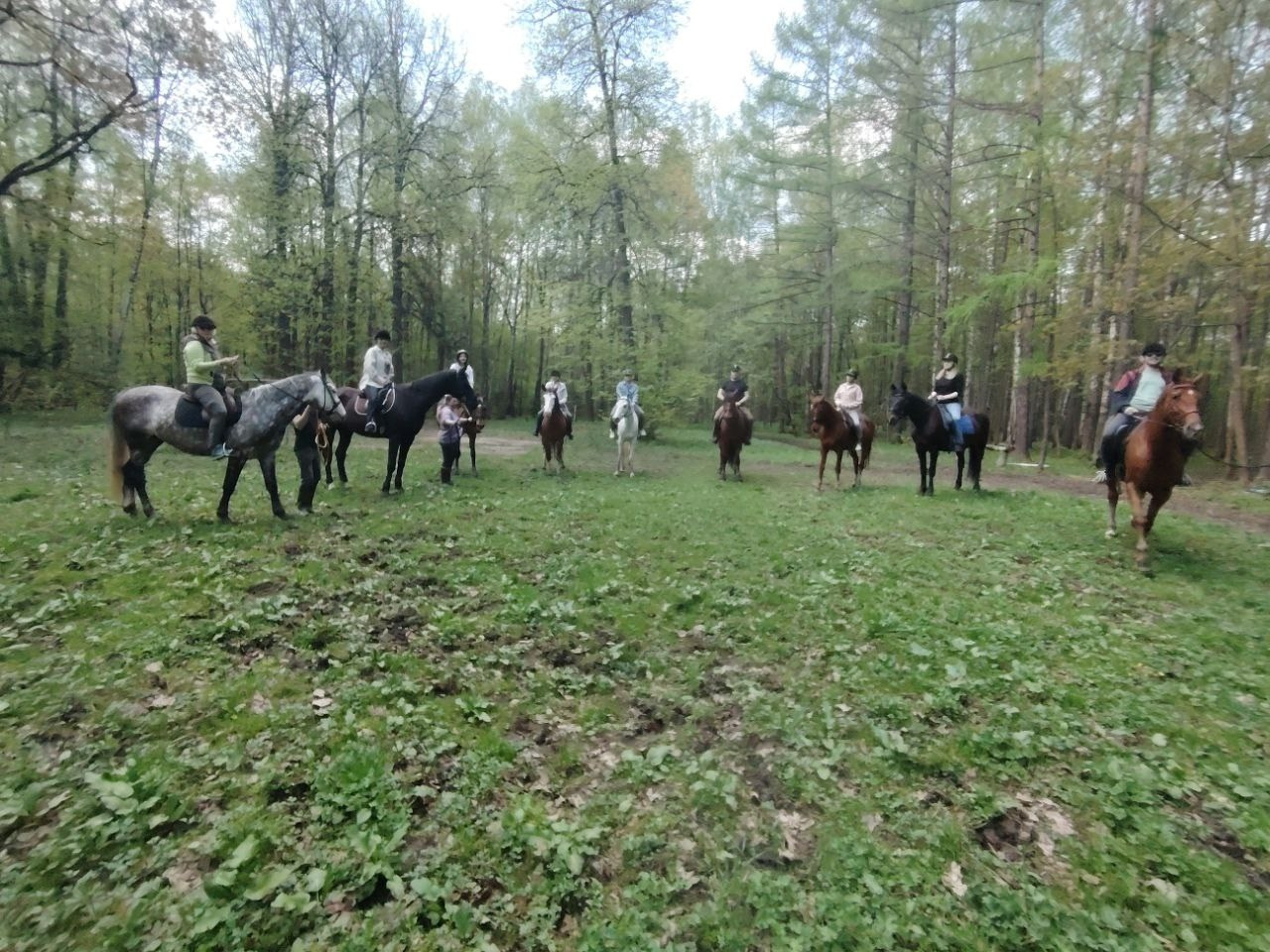 Лошадинг | 30.03.2024. Галерея Фантим