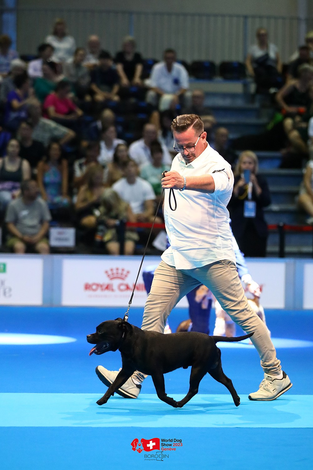 24-27.08.2023 WDS Geneva. Фотограф Дмитрий Бородин