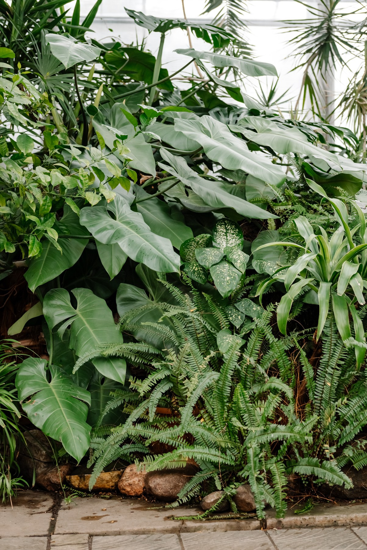 В Оранжерее. Свадебный и сеейный фотограф в Санкт-Петербурге Елена Худякова