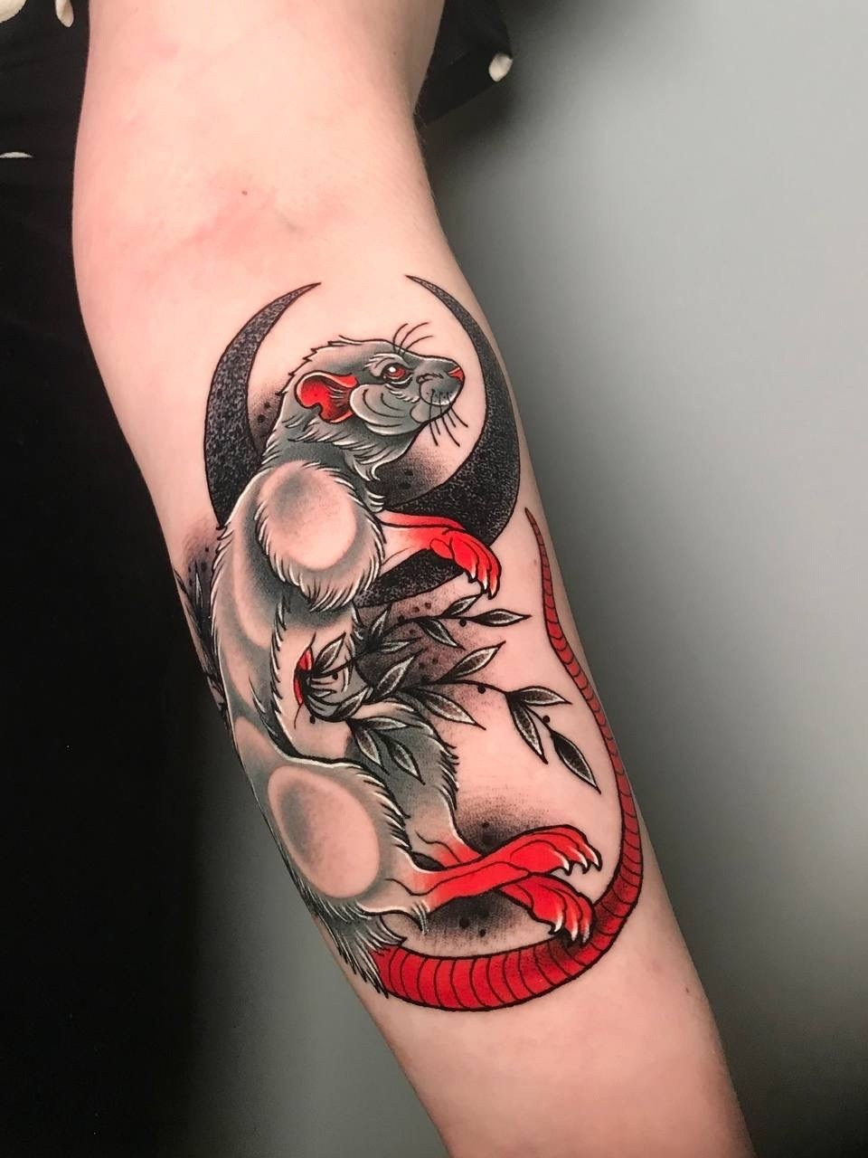 Работы Тимофея