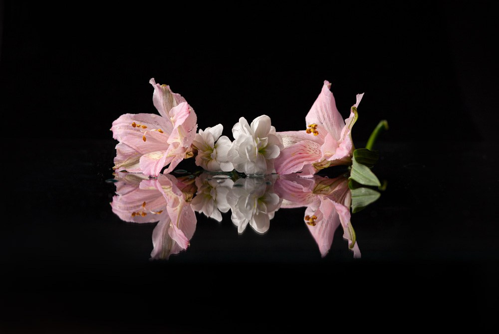 Фотокниги. Холсты. Печать