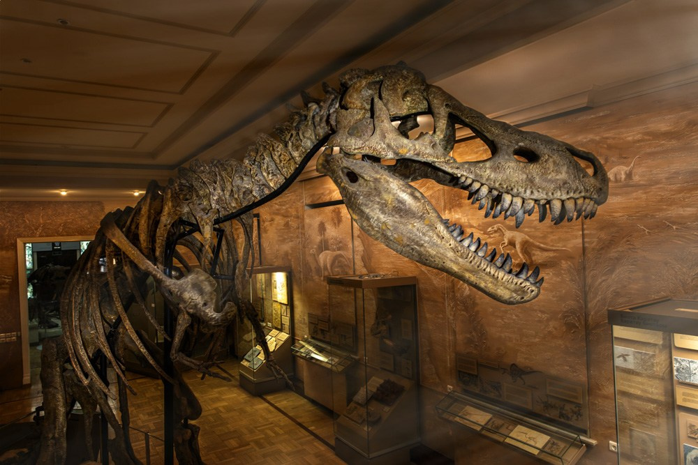 Интерьерная фотосъемка - Портфолио фотографа. Промышленный фотограф | Бизнес-фотосессии | Казань и РФ