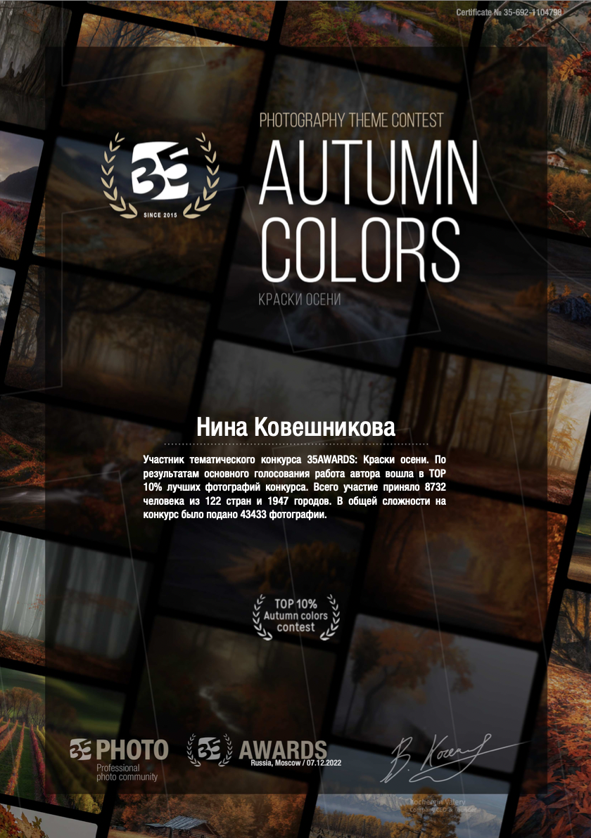 Сертификаты и грамоты. Нина Ковешникова