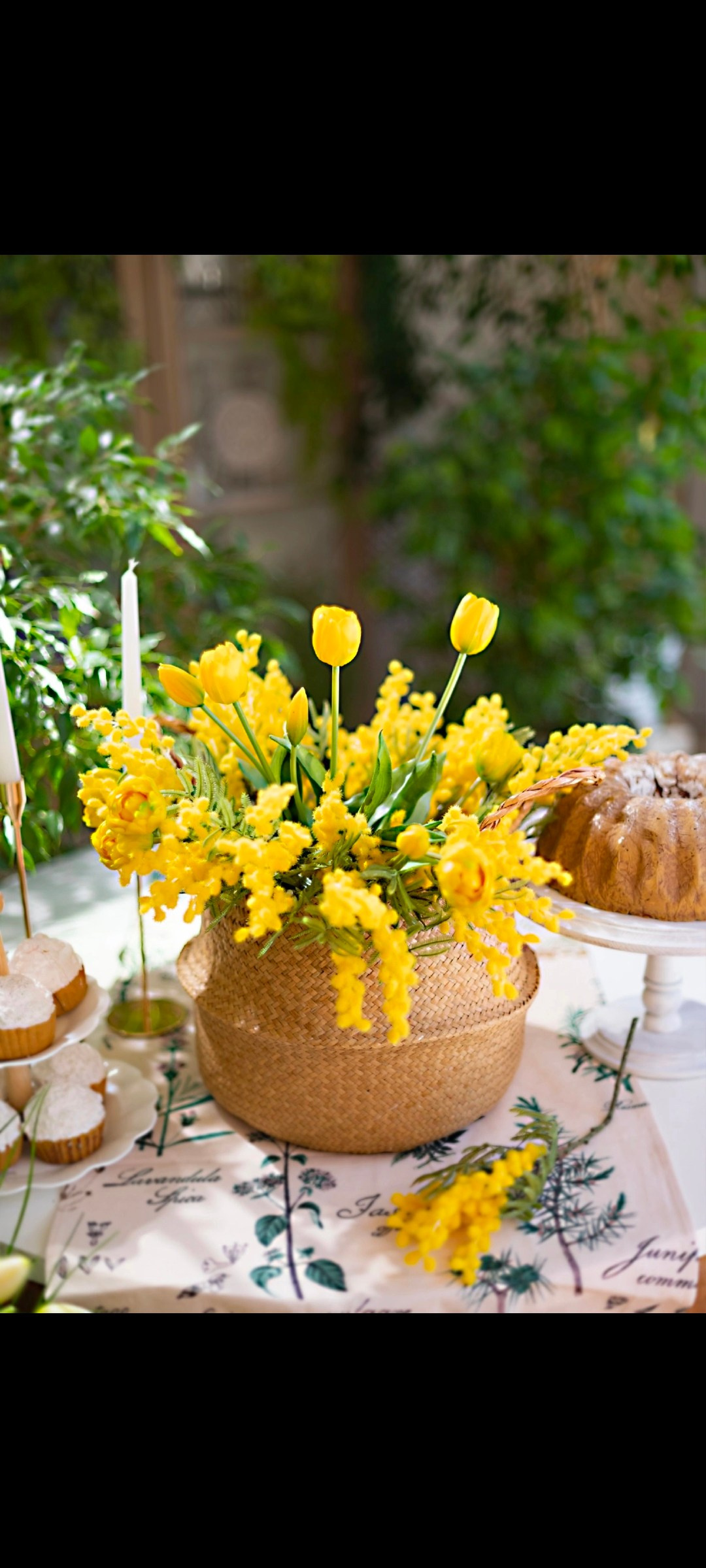 Все фотостудии в Твери. Свадебный и семейный фотограф в Твери и Тверской области