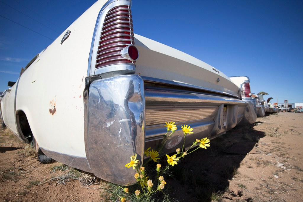 Ретро- авторазборка, США, 2013. Фотограф Василий Буланов