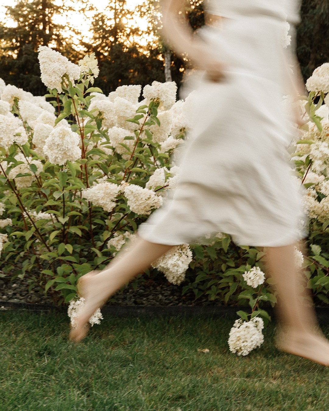 Катя и гортензии. Свадебный фотограф Краснодар Марина Зверева