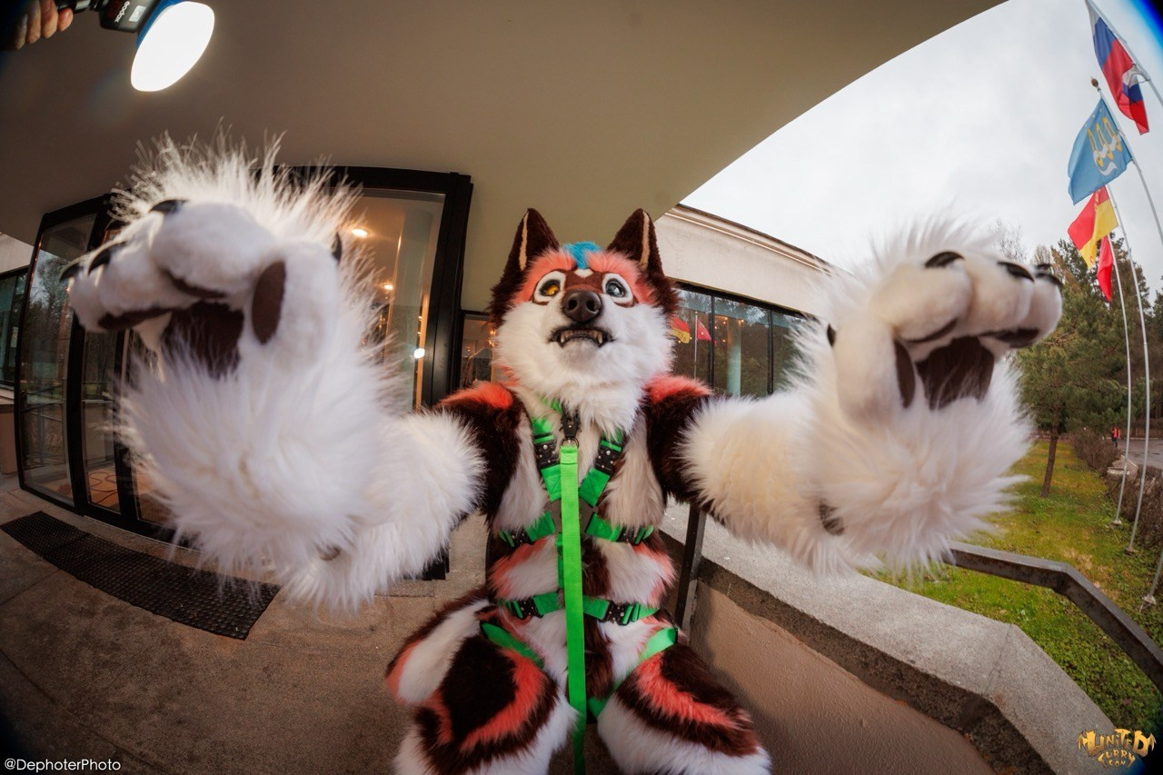 United Furry Convention 2026. Различные мероприятия и просто фотографии людей