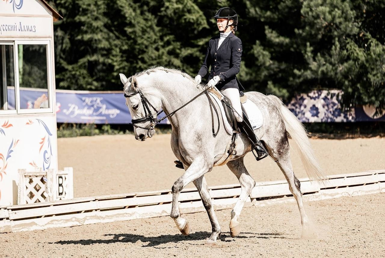 КУБОК по ВЫЕЗДКЕ КСК «РУССКИЙ АЛМАЗ». Конный фотограф Куракина Дарья • Фотосессии с лошадьми