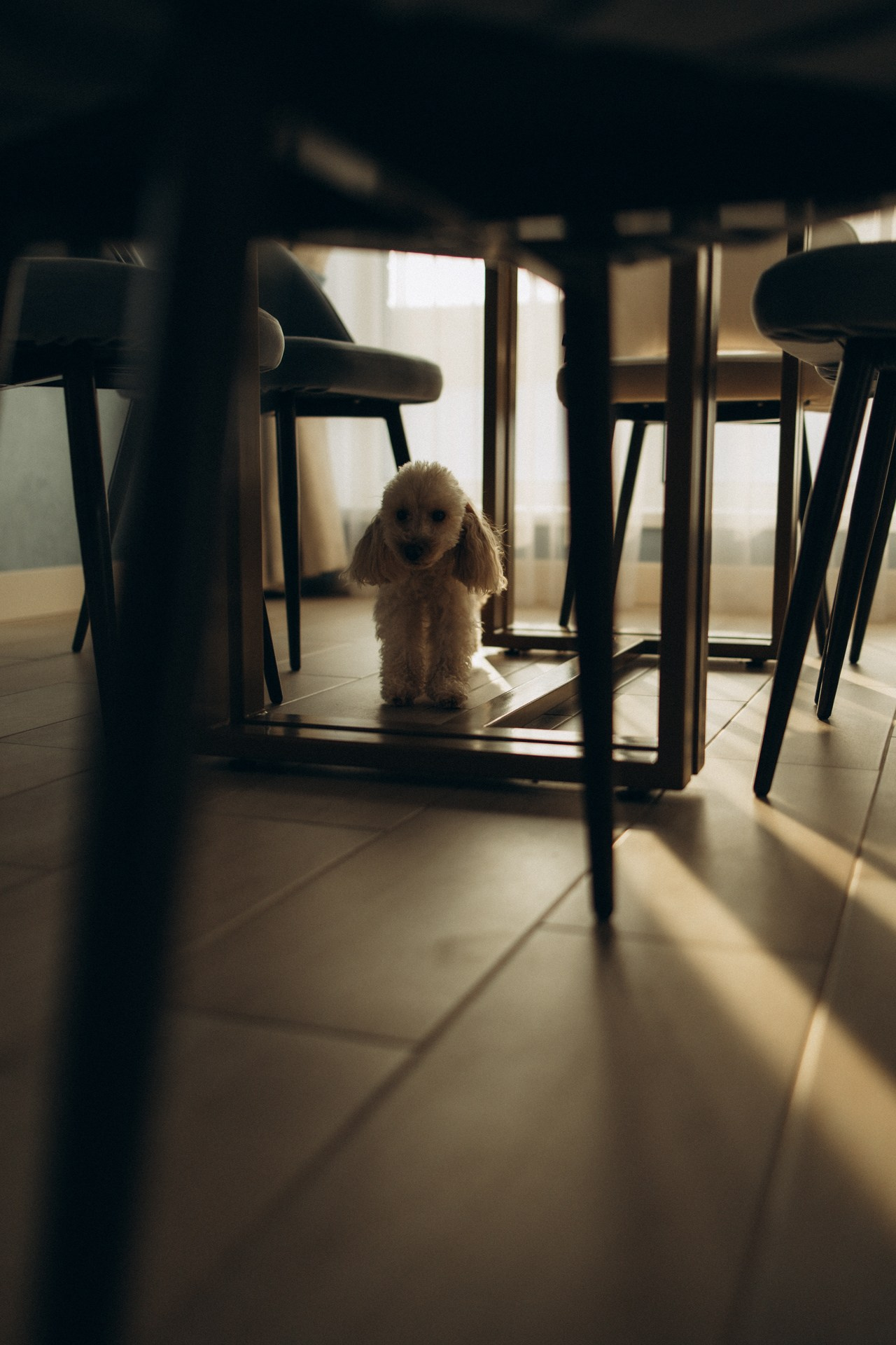 Солнечный день семьи Ольги. Семейный фотограф в Ижевске Даша Денисова