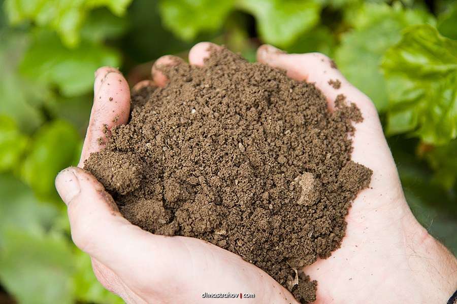 Винзавод Качинский +. Свадебный фотограф, фотосъемка в Крыму, Севастополе, Симферополе, Ялте