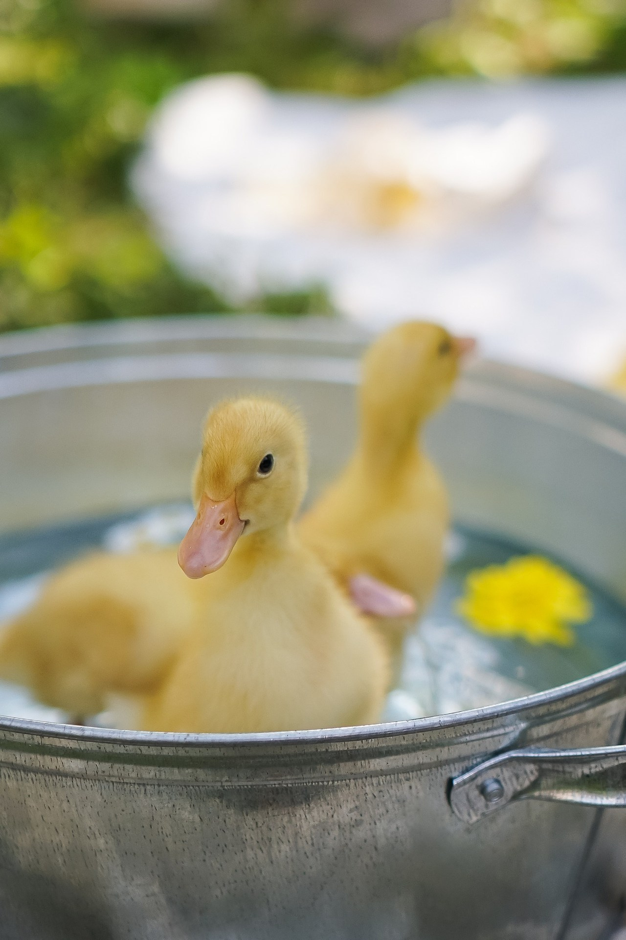 Отзывы. Семейный фотограф в Москве Коровушкина Наталья. Съемка контента