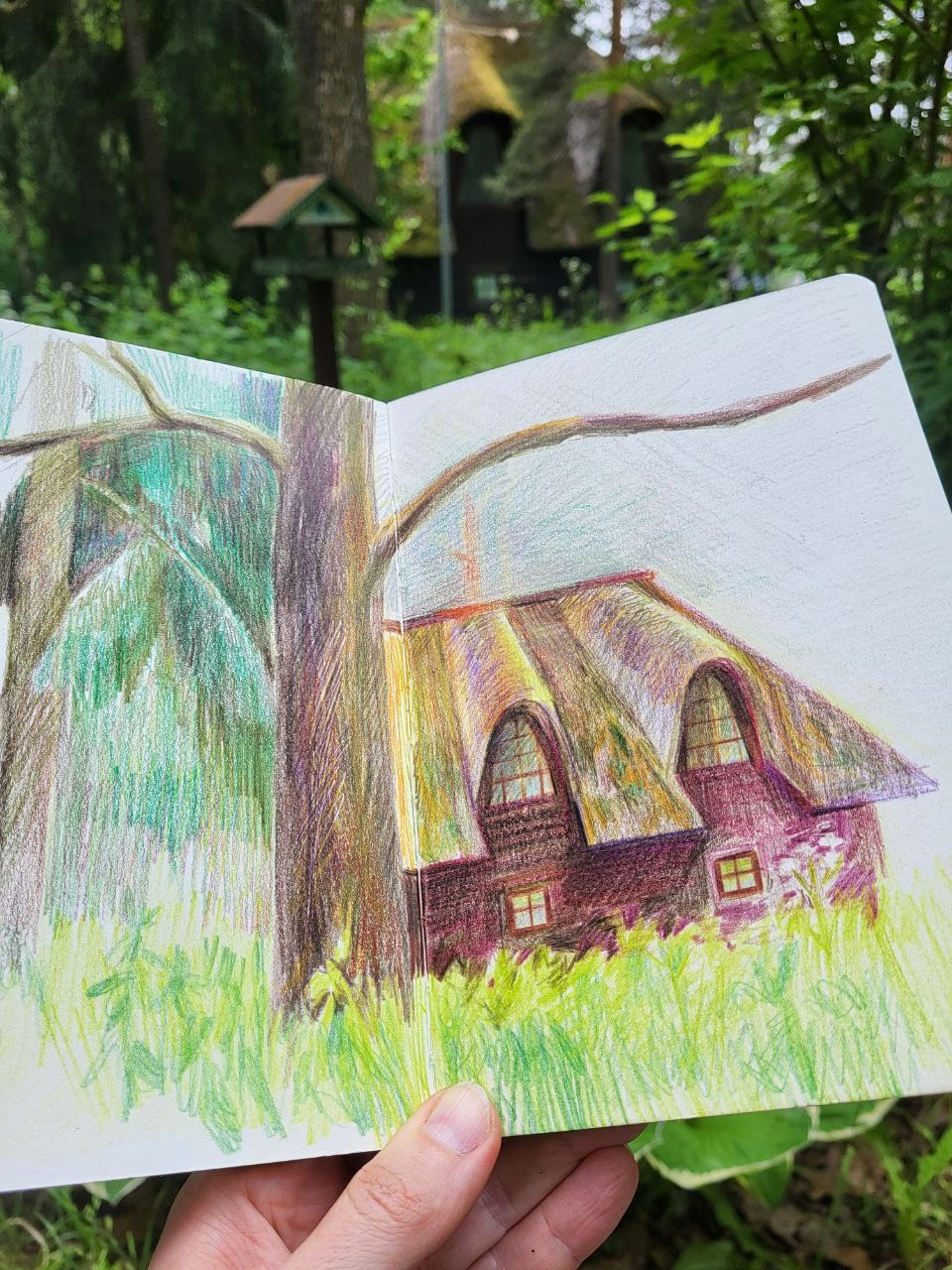 Пленэр в Бутовском лесу. Изостудия «Мы рисуем!» ♥ Южное Бутово, Москва