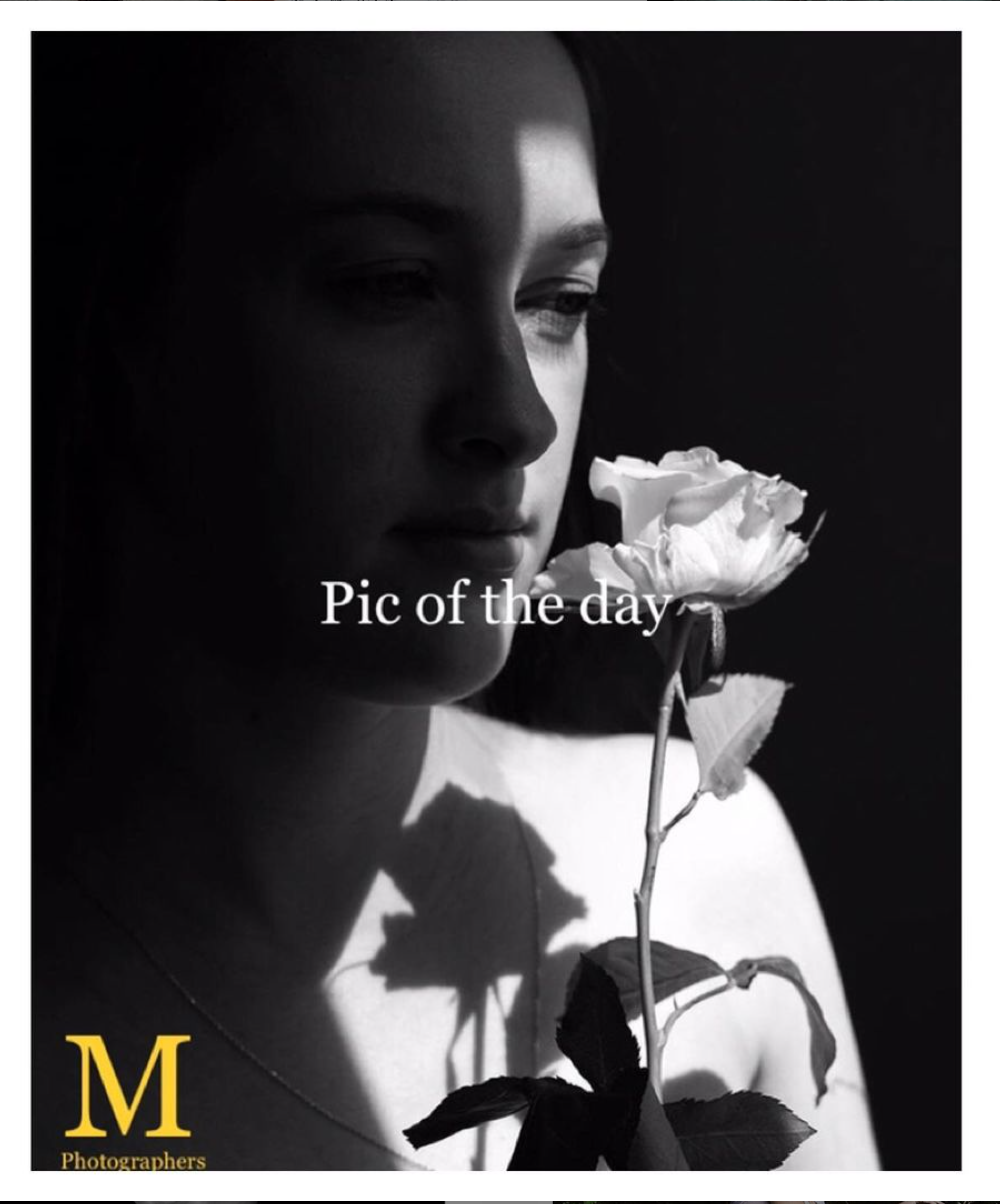 портрет девушки с розой в тени