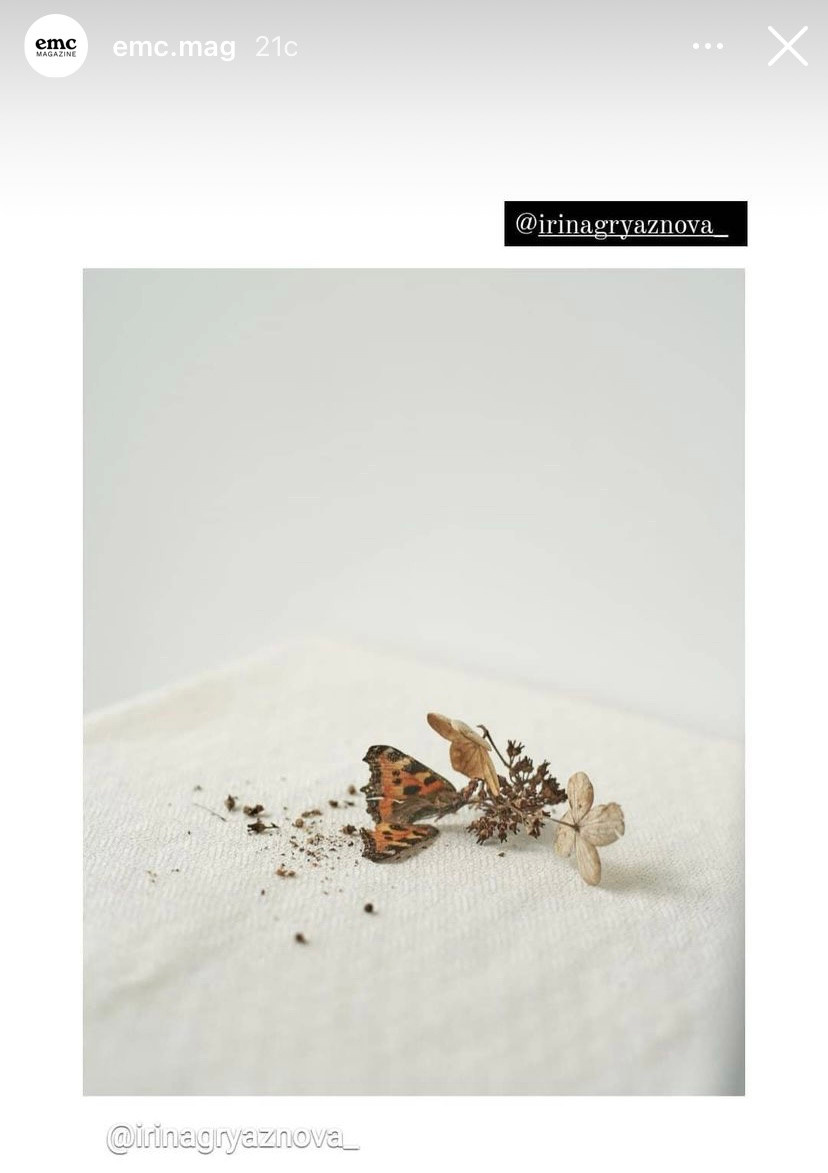 сухие цветы и бабочка лежат на белой скатерти