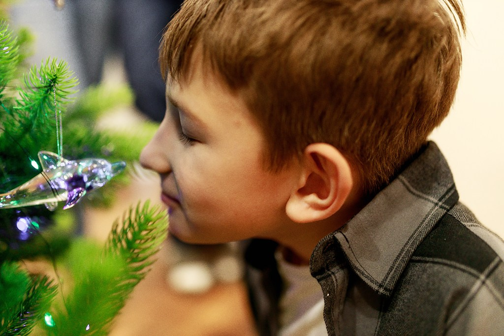 Дела семейные. Фотокоуч Катерина Каледина