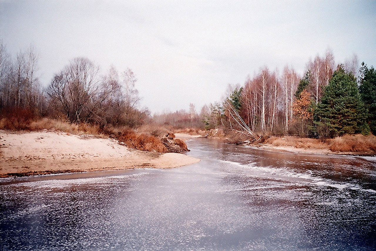 РАЗНОЕ. Андрей Пономарёв