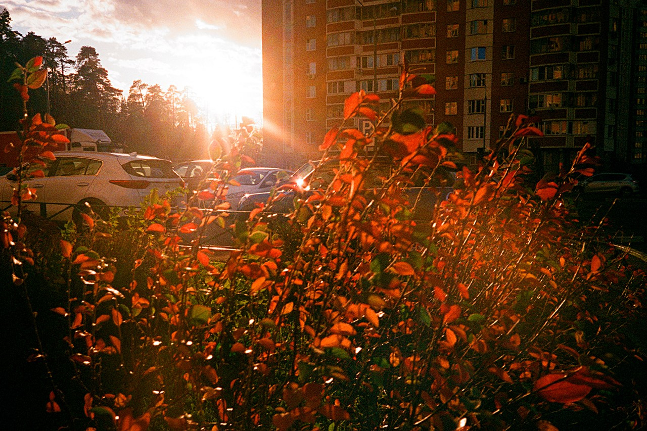РАЗНОЕ. Андрей Пономарёв