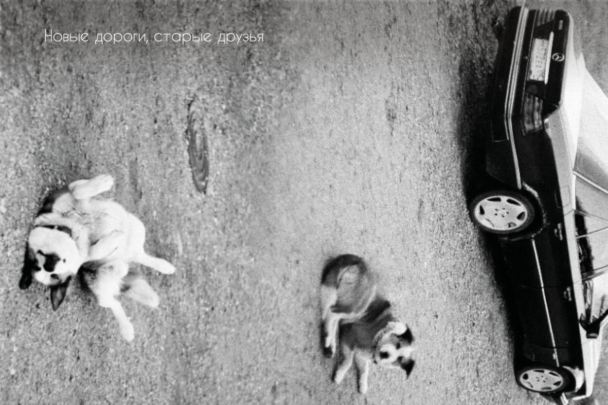 Пленочные страсти. Фотограф — Маслеников Константин