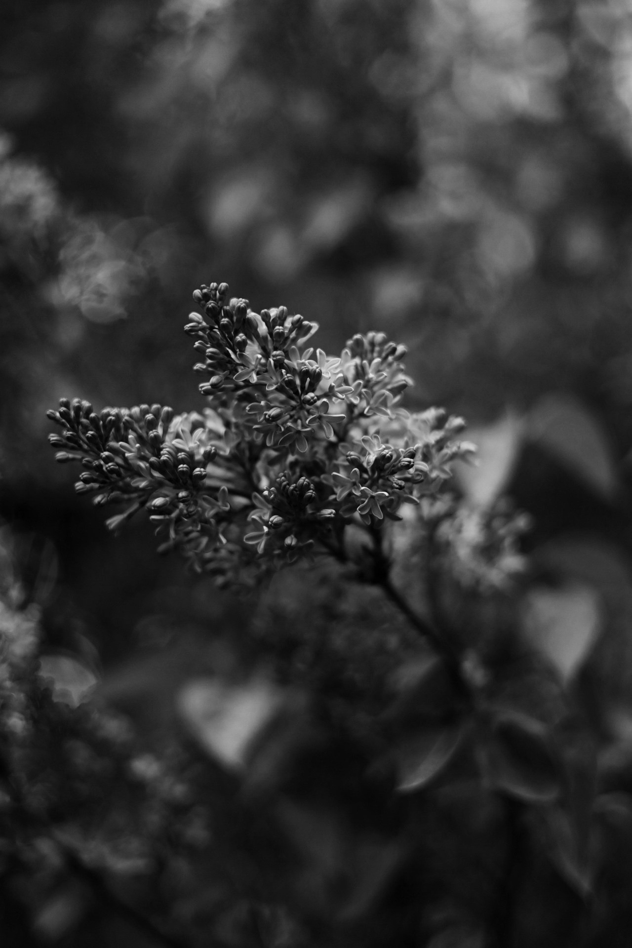 Все, что вокруг меня. Фотограф Евгения Ошкина, Саранск