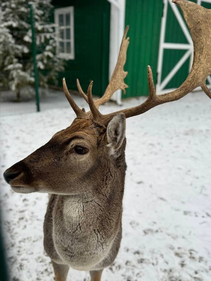 Арт-парк Гармонд. Фотограф Александра Сыщенко