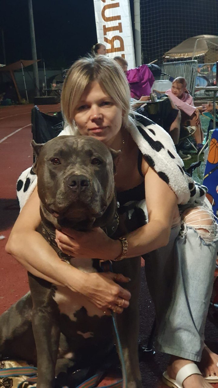 UPB’s Queenie & Zeus. 16.04.24. Американские булли XL в г. Калининград. Питомник Great Bully UNIVERSE