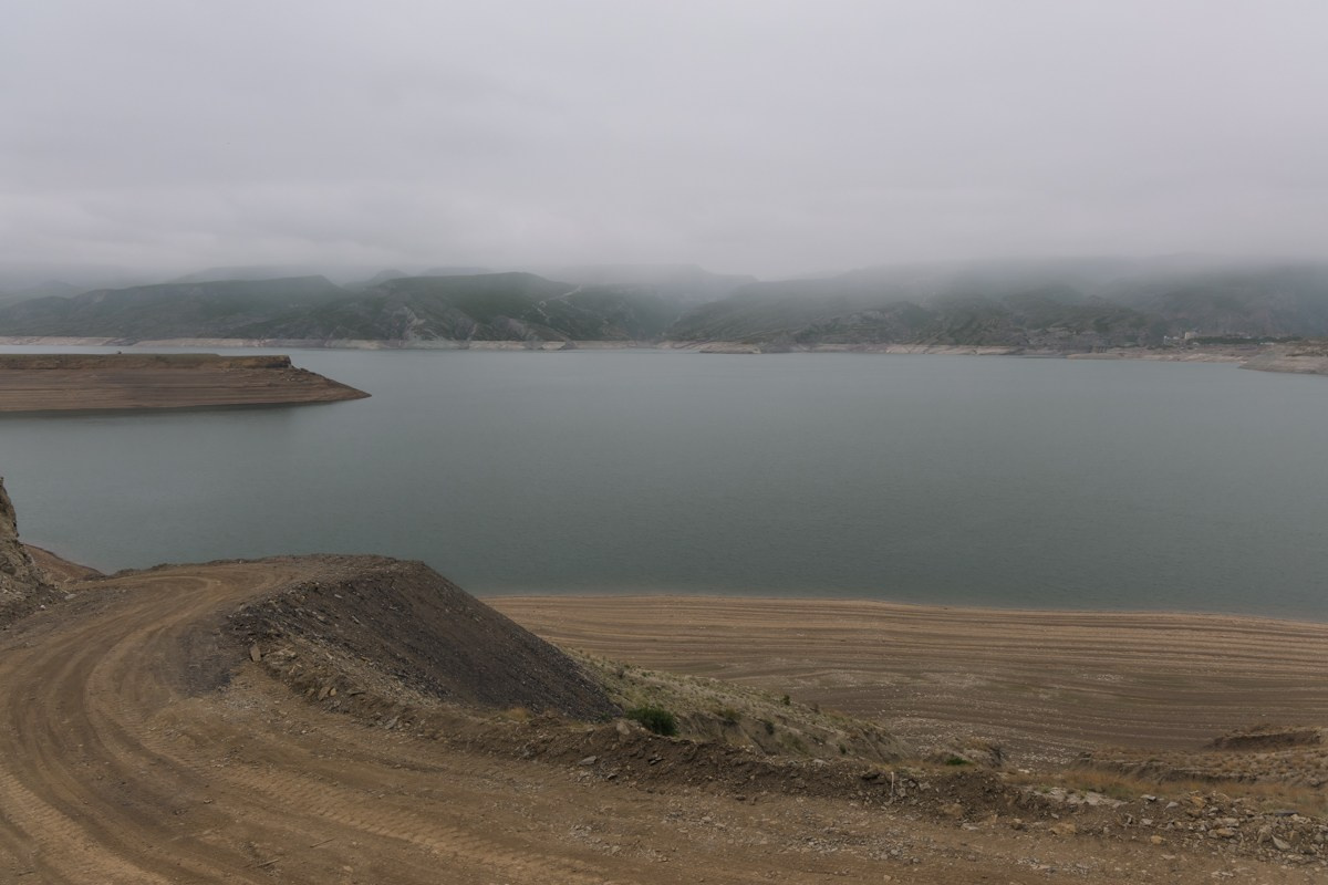 Природа. Photomantis