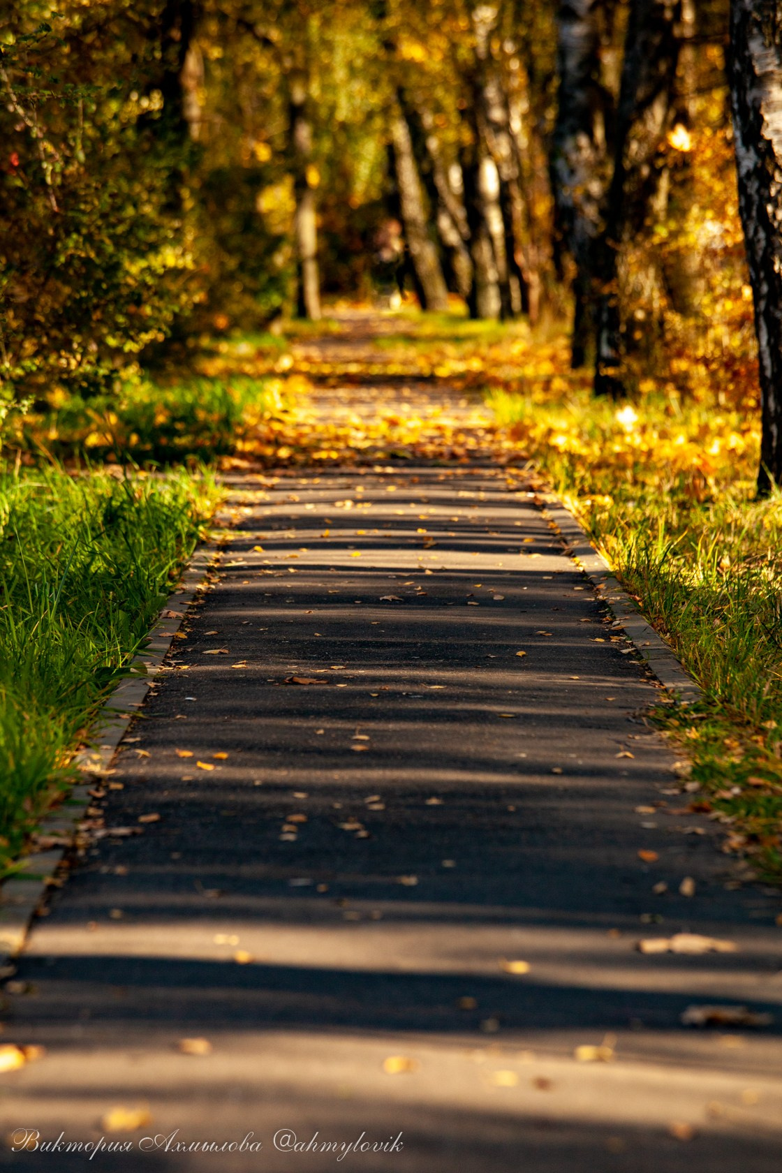 Маша Печенька (BMW GS1200). Виктория Ахмылова. Фотограф в Москве