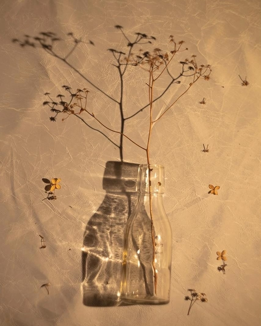 Галерея 2. Наталья Жукова. Курсы фотографии