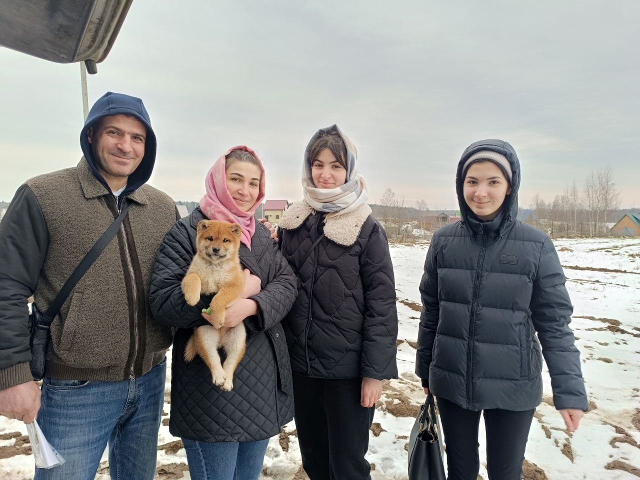 Сиба Rubylight Everest питомник Рубилайт 