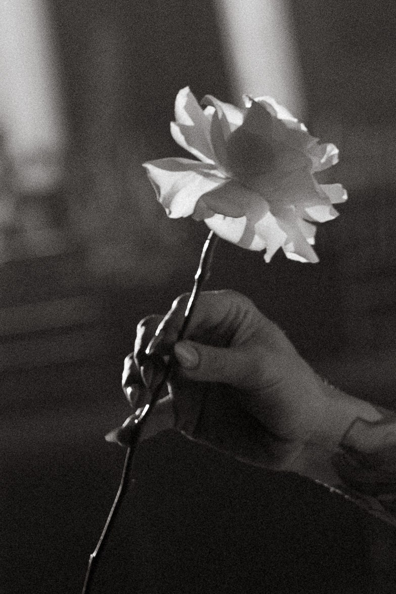 Евгения и Андрей. Главная