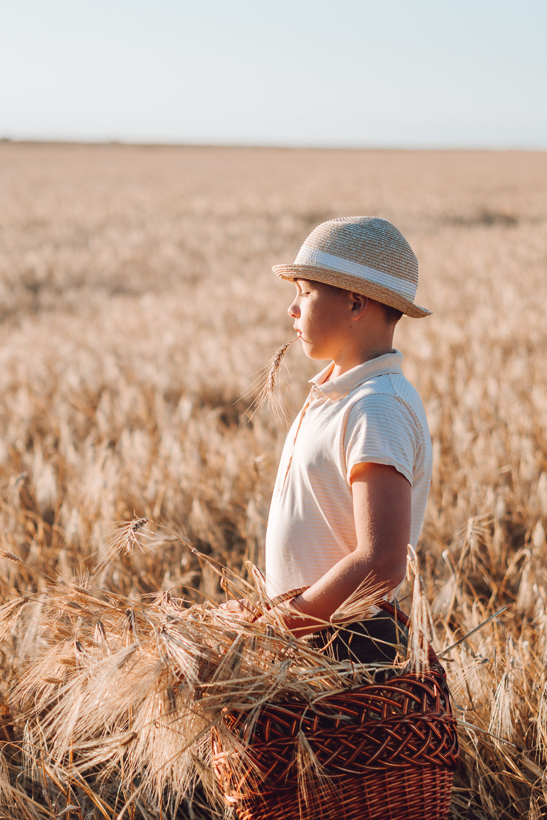 Пшеница. Алёна Орлова Портретный фотограф Москва