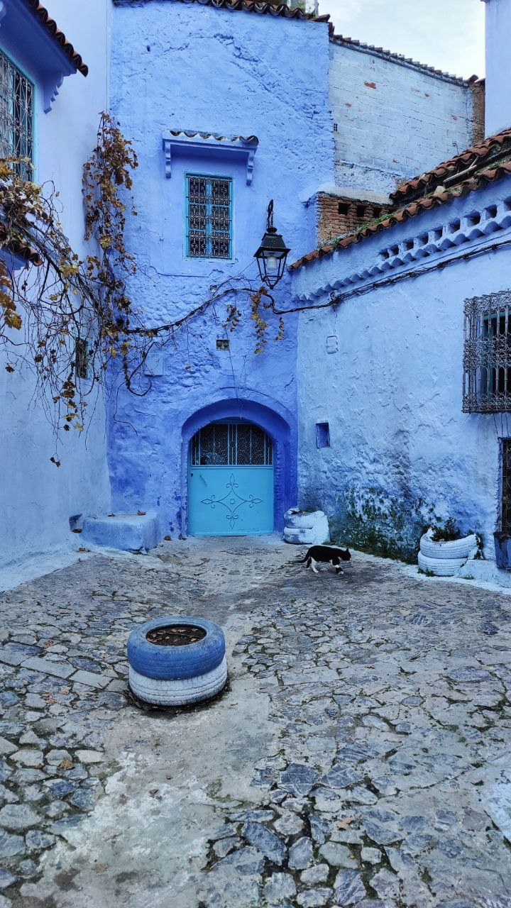 Марокко. Кибернетика и гармония