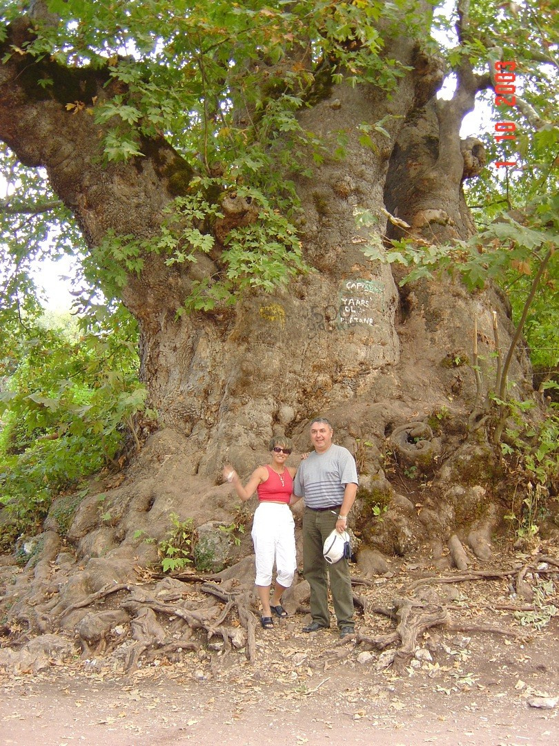 Турция, Пальмарива, 2003. Улица, люди, жизнь…