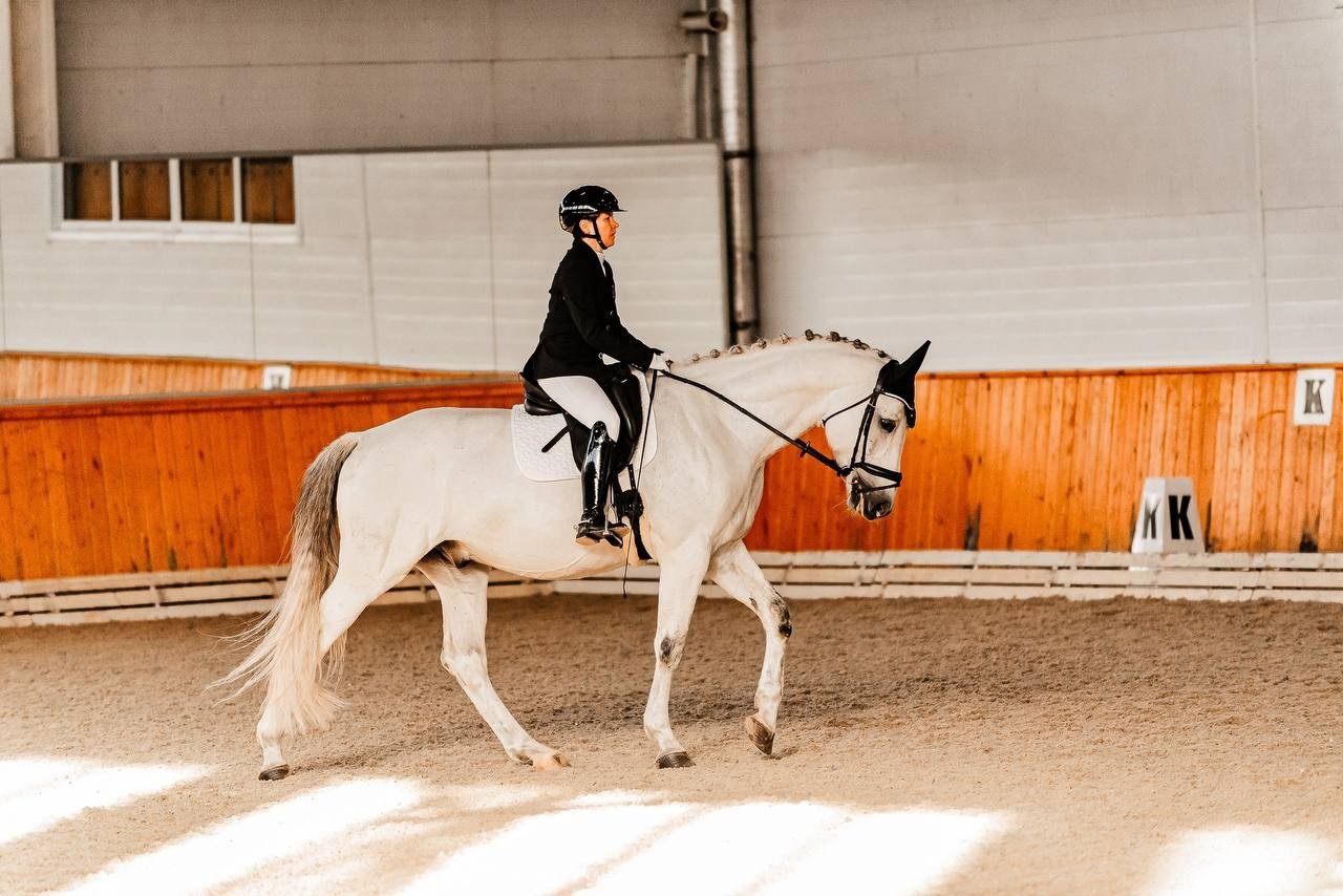 ЗОЛОТАЯ ОСЕНЬ КСК «КОНКОРД», ВЫЕЗДКА. Конный фотограф Куракина Дарья • Фотосессии с лошадьми