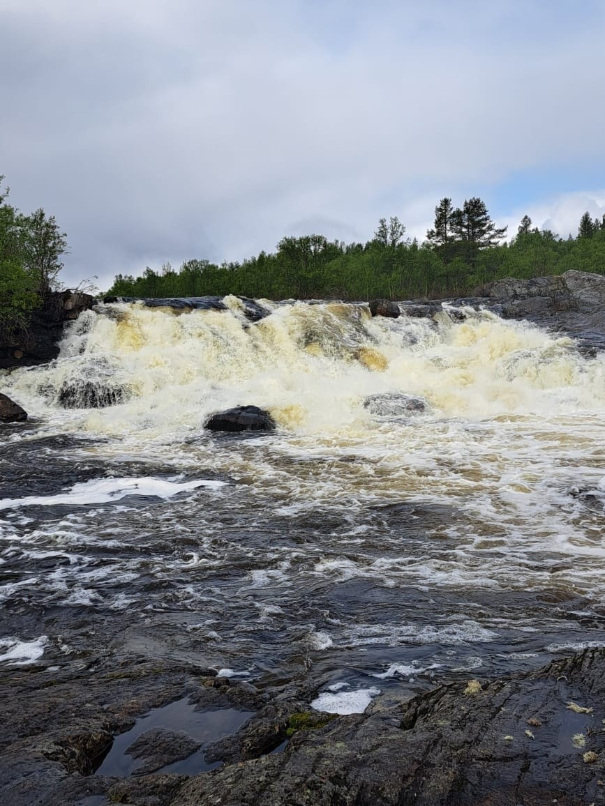 Мурманск | 20-22.06.2025. Галерея Фантим