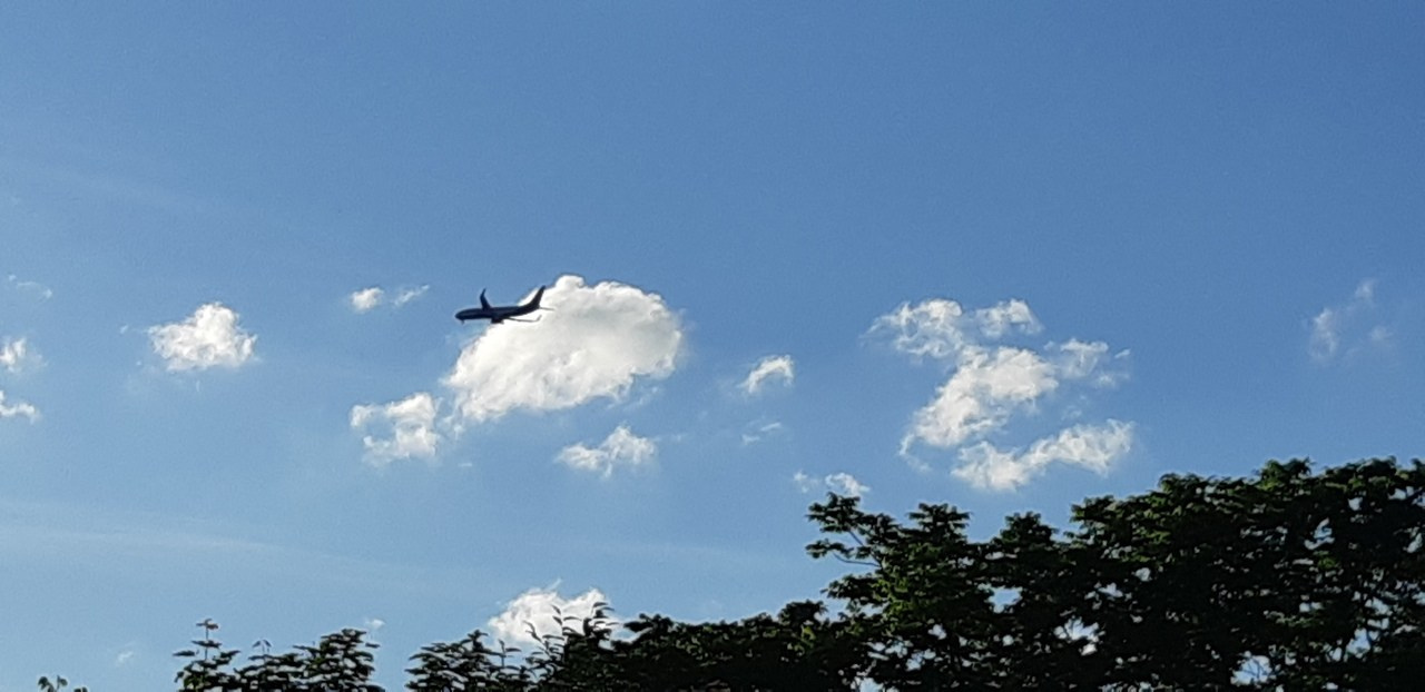 Шашлычки | 01.06.2019. Галерея Фантим