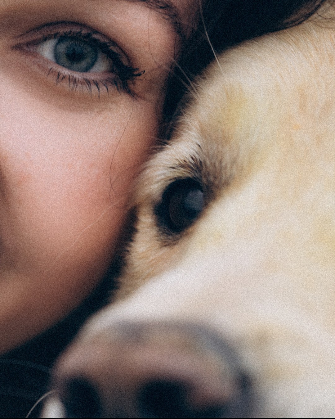 Кристина, Александр, Каролина, Владлен и Космос. Фотограф анималист в Москве и Санкт-Петербурге Свиридова Анна