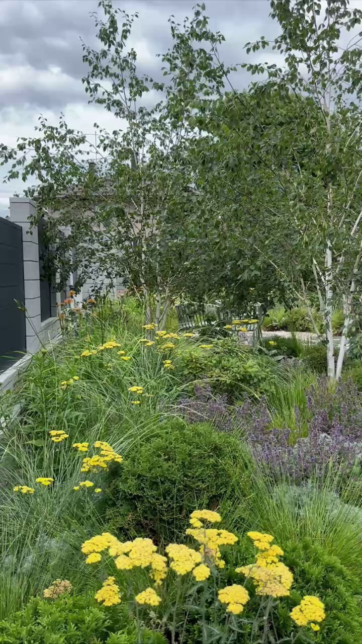 Участок в пейзажном силе. Дизайн интерьера, мебели и ландшафта на КМВ | OXY Design