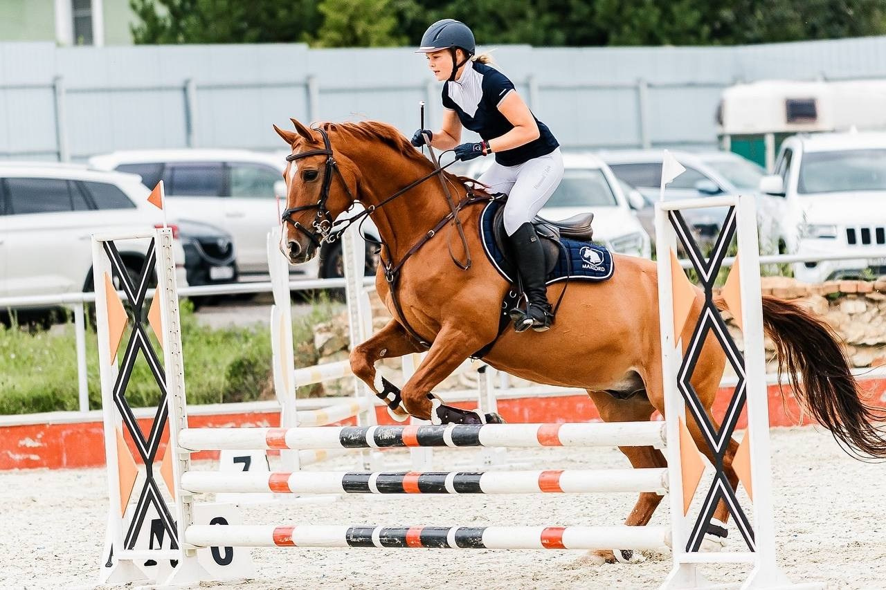 ЛЕТНИЙ КУБОК КСК «КОНКОРД» по КОНКУРУ. Конный фотограф Куракина Дарья • Фотосессии с лошадьми