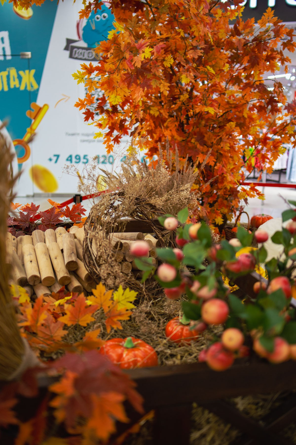 Осеннее чаепитие в ТЦ Хорошо!. Репортажный и концертный фотограф в Москве Анастасия Осень
