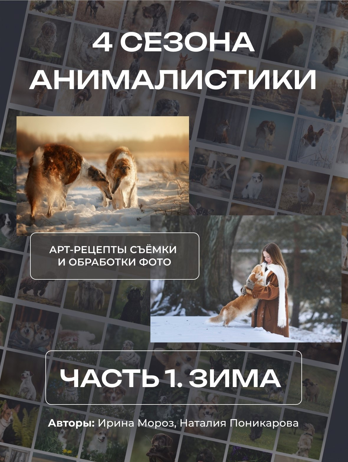 съемка собак