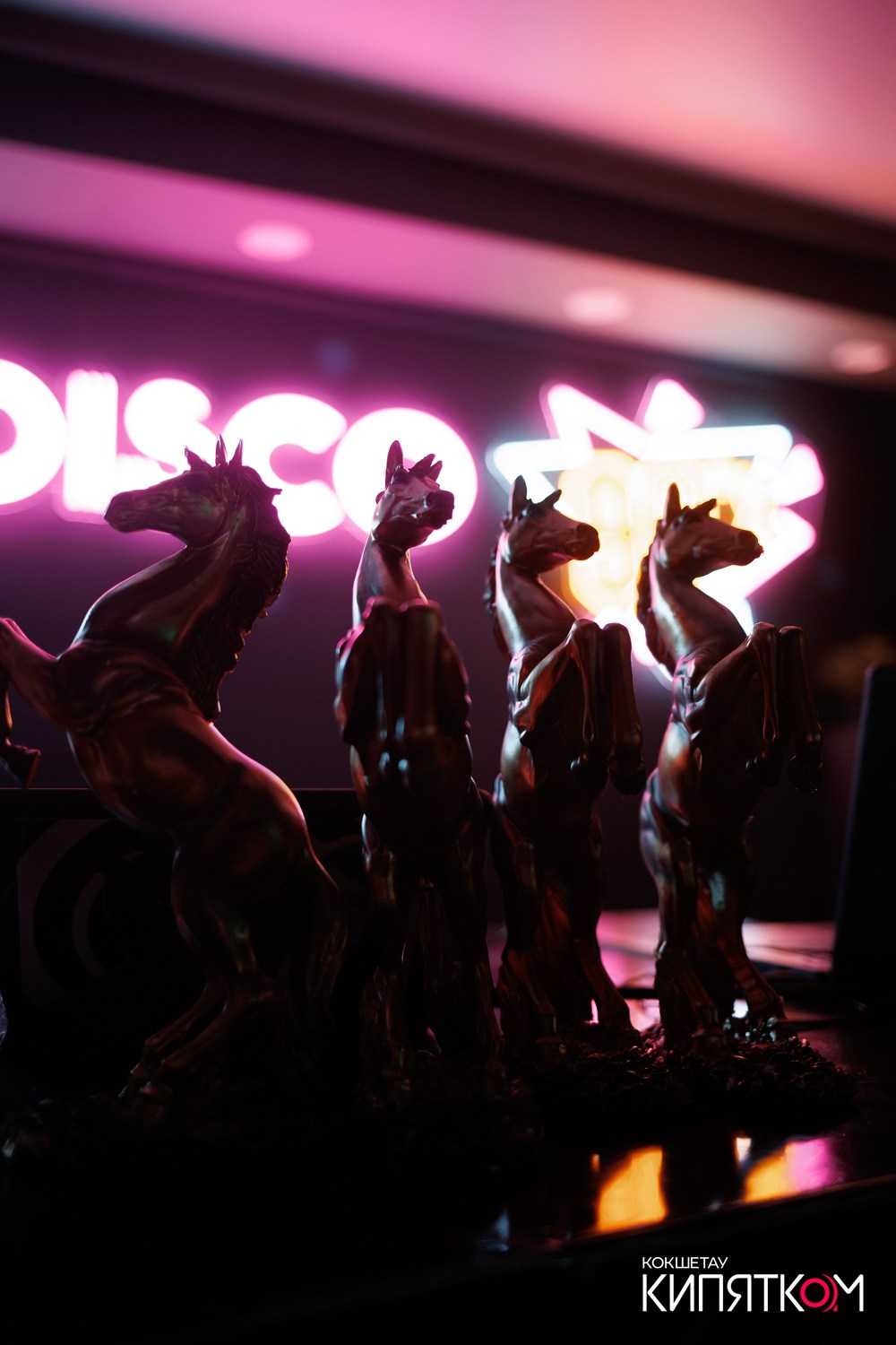 JAMAICA. КИПЯТКОМ КОКШЕТАУ